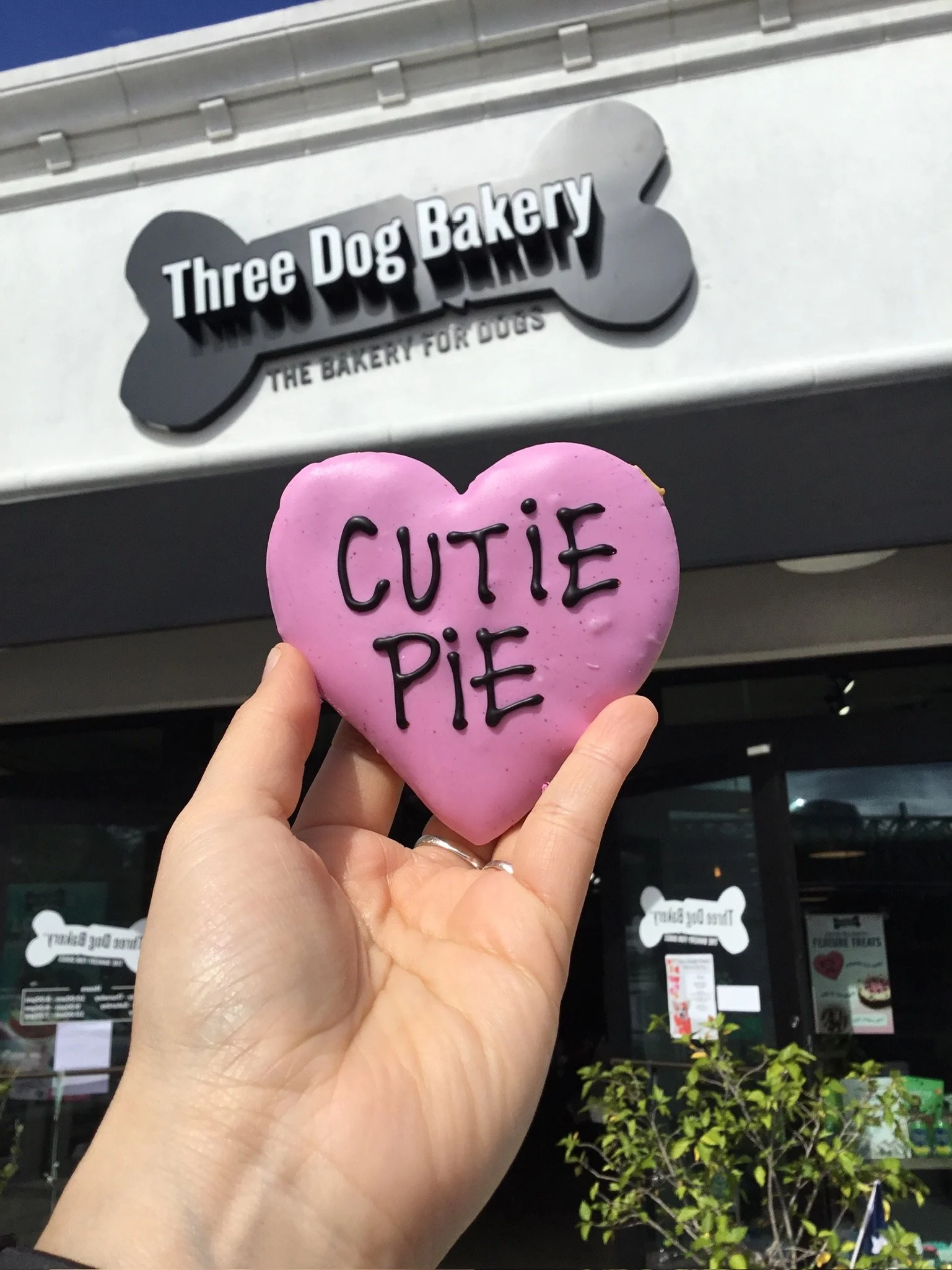 Pastries — Three Dog Bakery Houston